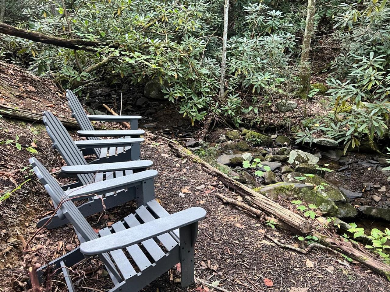 Big Bear Ridge Lodge - Breathtaking Mountain Views And Private Forest Scenes In Amazing Large Log Cabin Gatlinburg Eksteriør billede